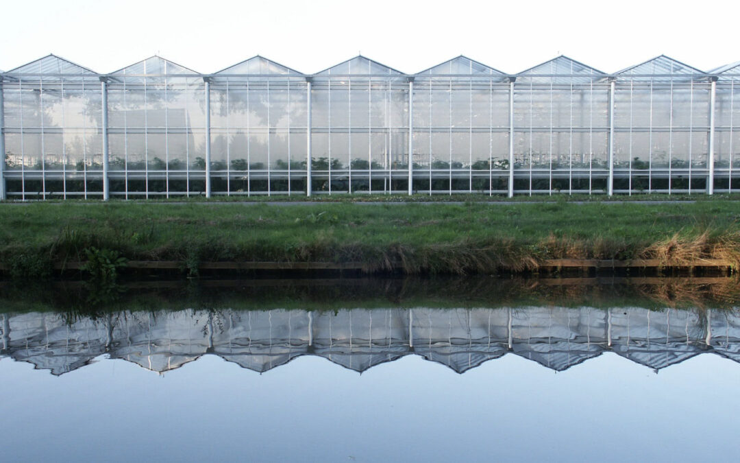 Waterschap publiceert bedrijfsnaam van notoire watervervuiler