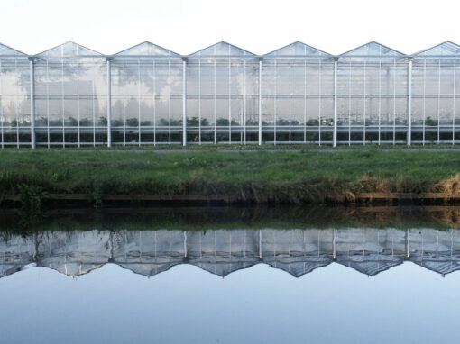 Waterschap publiceert bedrijfsnaam van notoire watervervuiler