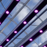 Transitie naar LED in sierteelten met een lage lichtbehoefte