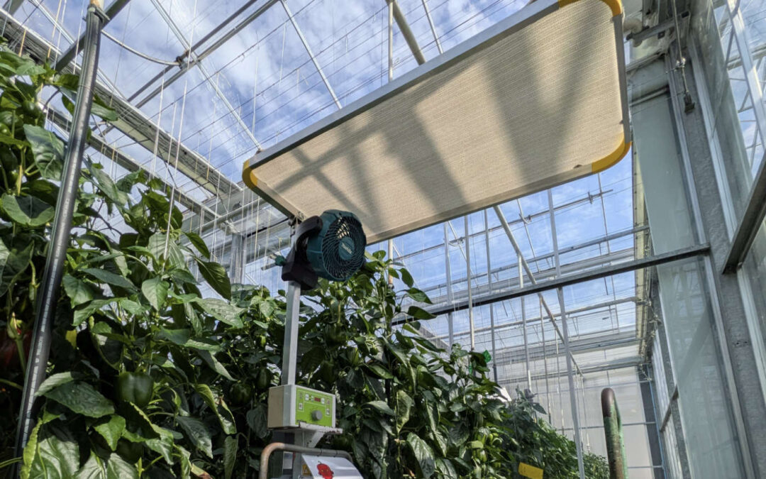 Werken aan betere arbeidsomstandigheden van medewerkers