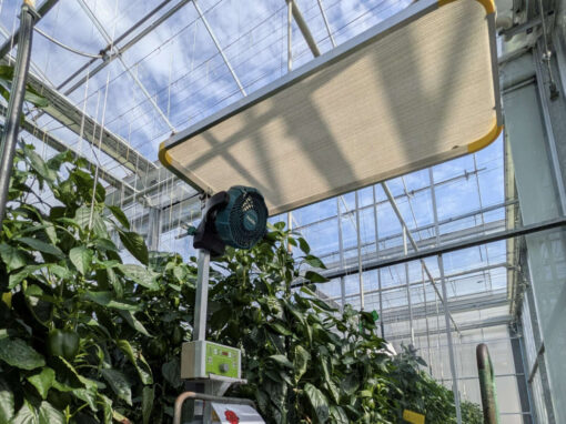 Werken aan betere arbeidsomstandigheden van medewerkers