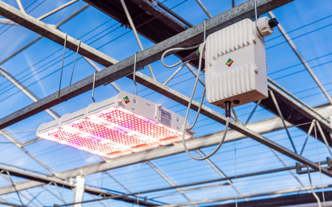 Moederbedrijf van Gavita International neemt Hortilux merk over