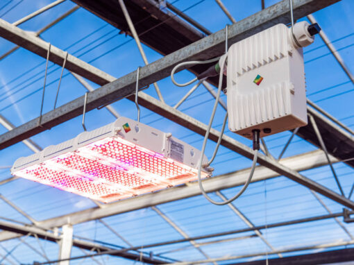 Moederbedrijf van Gavita International neemt Hortilux merk over